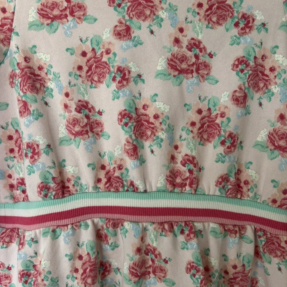 Janie & Jack Pink‎ Floral Hooded Sweatshirt Dress Girl's 12 Long Sleeves Roses